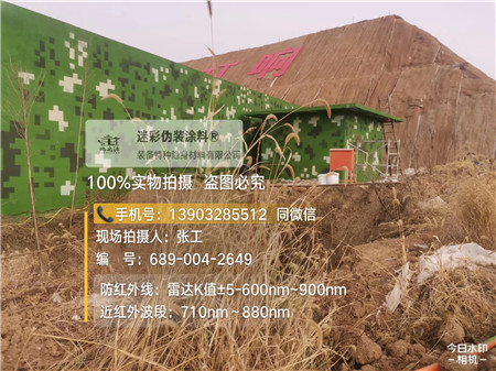 株洲星空迷彩墙施工队