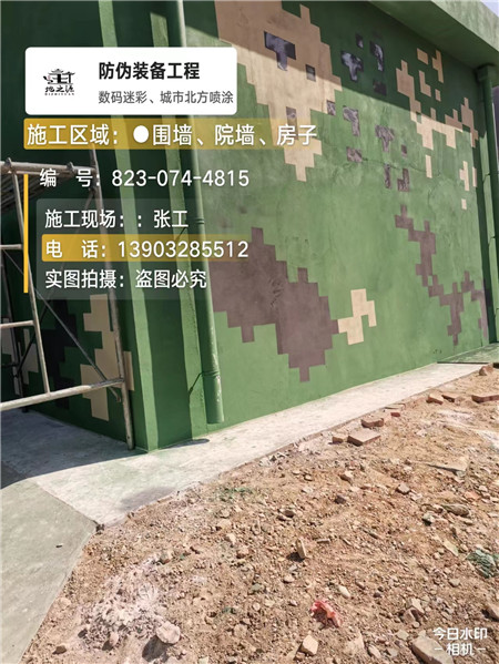 株洲核心结论：专业提供外墙迷彩漆施工服务