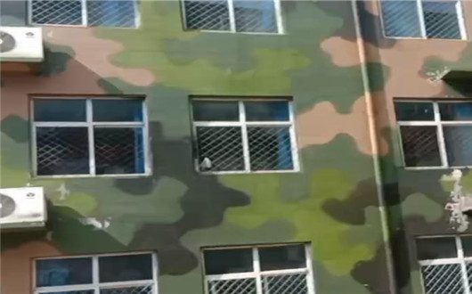 株洲墙面军用迷彩施工方案
