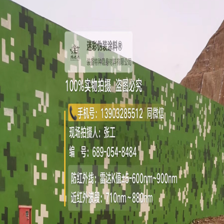 株洲专业承接园区围墙迷彩喷涂、